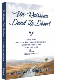 Un Ruisseau Dans Le Désert